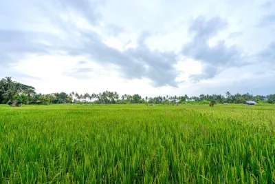 Exterior-Casa-Cava-Luxury-Villa-Ubud-2