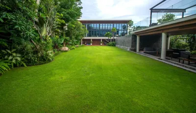 LAWN-AREA-4