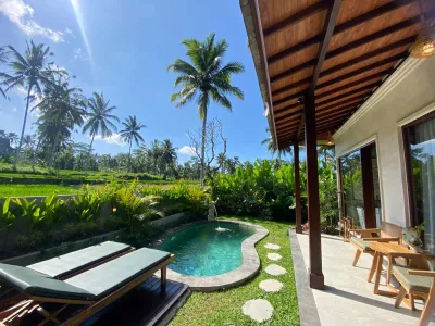 Pool-Rice-Field-View-Arvanya-Luxury-Private-Villa-Ubud-7
