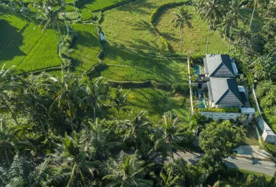Exterior-Rice-Field-View-Arvanya-Luxury-Private-Villa-Ubud-2