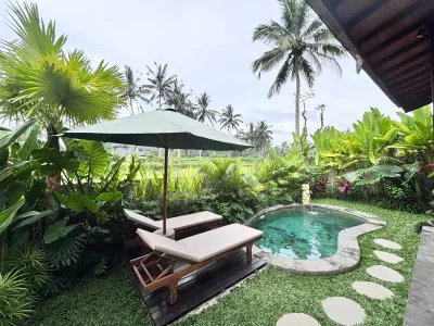Pool-Rice-Field-View-Arvanya-Luxury-Private-Villa-Ubud-3