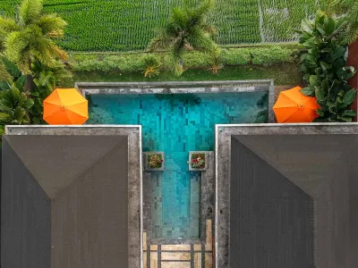Pool-Sierra-Vista-2-Private-Luxury-Villa-Ubud-1