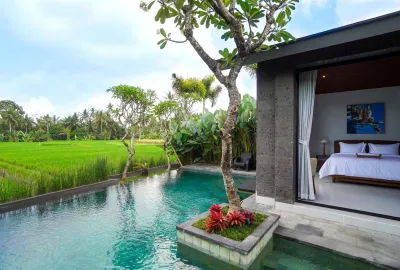 Pool-Sierra-Vista-1-Private-Luxury-Villa-Ubud-2-1