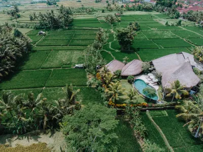 Omah-Paid-Luxury-Villa-resized